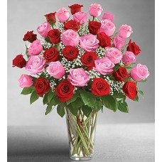 Valentines Red and Pink - 36 Stems Vase